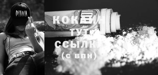 сатива Великий Новгород