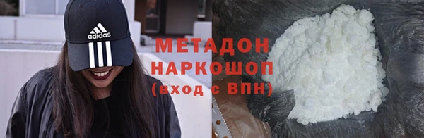 прущие грибы Сосновый Бор