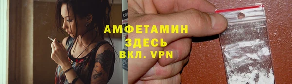сатива Великий Новгород