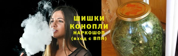 сатива Чекалин