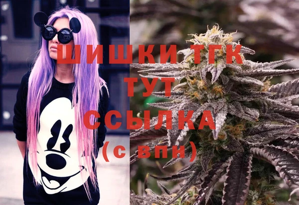 ECSTASY Шадринск