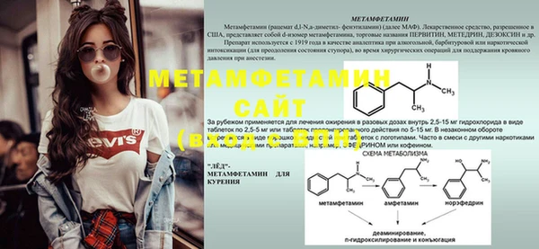 сатива Великий Новгород