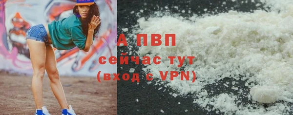 ECSTASY Шадринск