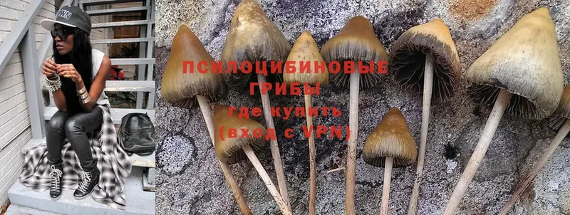 Галлюциногенные грибы Magic Shrooms  цены наркотик  Нефтекамск 