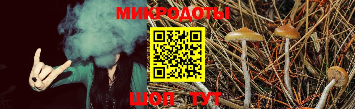 закладки  Вход с VPN  Нефтекамск  Псилоцибиновые грибы GOLDEN TEACHER  Псилоцибиновые грибы мухоморы 