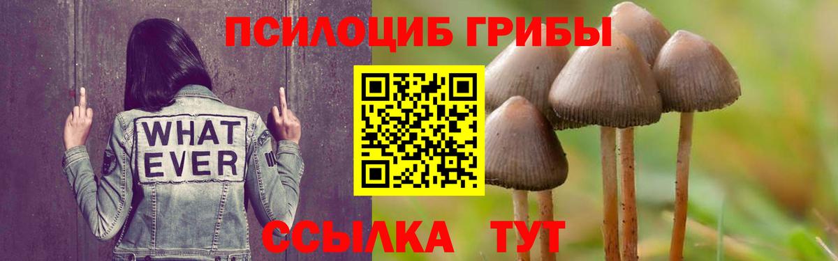 Псилоцибиновые грибы прущие грибы Нефтекамск